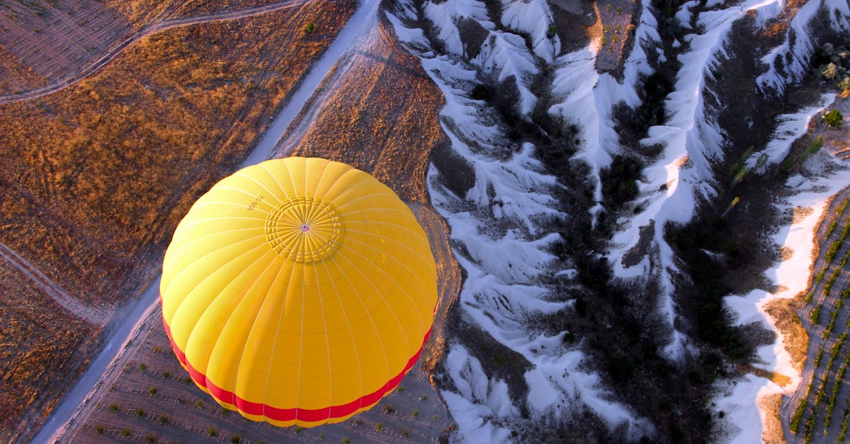 découvrez la beauté naturelle à travers des conseils, astuces et inspirations pour sublimer votre apparence en toute simplicité et authenticité.