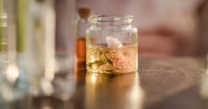 Lire la suite à propos de l’article Certifications cosmétiques bio : comment s’y retrouver en 2025 ?