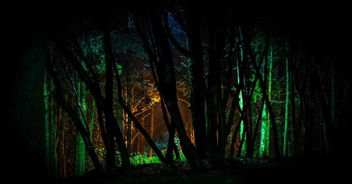 découvrez les secrets de la beauté naturelle pour sublimer votre peau et révéler votre éclat authentique au quotidien.